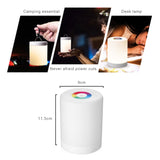 Rechargeable Smart LED Touch Control Night Light Intelligent Dimmable RGB Color Change Bedside Lamp with Hook