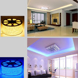 Epoxy Waterproof Rope Light, Length: 5m