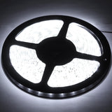 Epoxy Waterproof Rope Light, Length: 5m