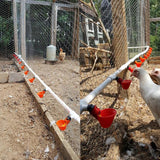 Vreeding Equipment Export Type Drinking Bowl Poultry Drinker(Watering When Touching)