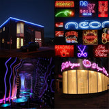 LED Neon Light Flexible DIP IP67 Waterproof Rope Light 2 Wires, AC 220-240V 600LEDs 5m