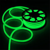 LED Neon Light Flexible DIP IP67 Waterproof Rope Light 2 Wires, AC 220-240V 600LEDs 5m